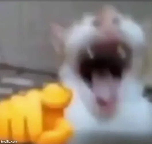 Meme mèo cười thoải mái mang lại cảm giác thư giãn
