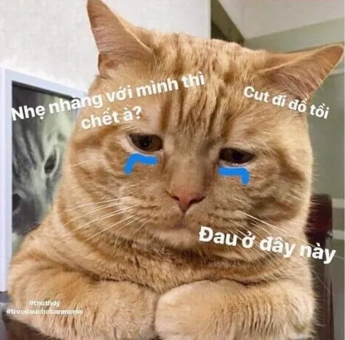 Meme chế trái tim nhói, ai từng yêu đều hiểu.
