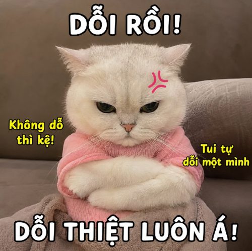 Meme dỗi – Tuyển tập những khoảnh khắc giận dỗi siêu cute