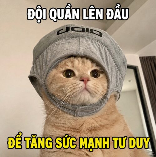 Meme đội quần – Tuyển tập những khoảnh khắc siêu quê nhục