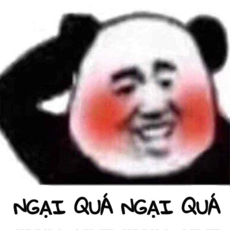 Tổng hợp ảnh meme gấu bá đạo khiến bạn bật cười không ngớt