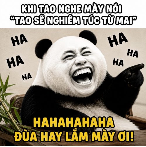 Bộ sưu tập meme gấu trúc cười biểu cảm cực hài bá đạo