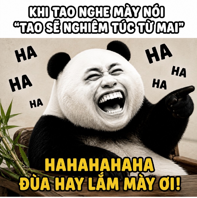 Bộ sưu tập meme gấu trúc cười biểu cảm cực hài bá đạo