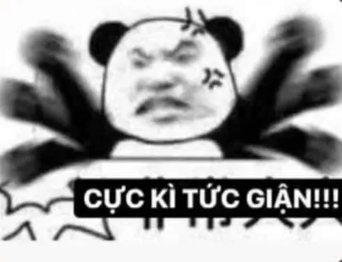 Biểu cảm gấu trúc bực bội, gương mặt cau có nghiêm trọng.