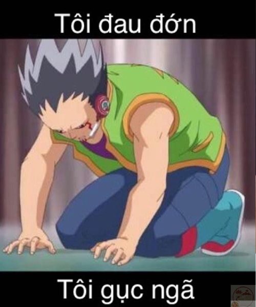 Meme gục ngã – Bộ ảnh chế đau đớn siêu hài hước nhất