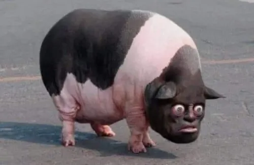 121
