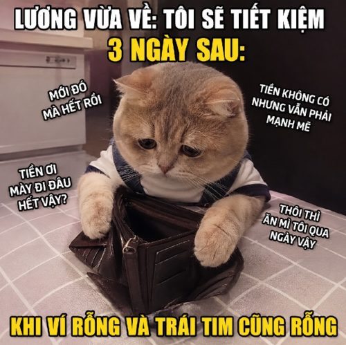 Meme hết tiền – Bộ ảnh chế nghèo rớt mồng tơi siêu hài