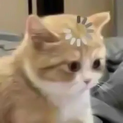 Loạt 60+ ảnh Meme Hoang Mang hài hước bá đạo cho những tình huống khó đỡ nhất