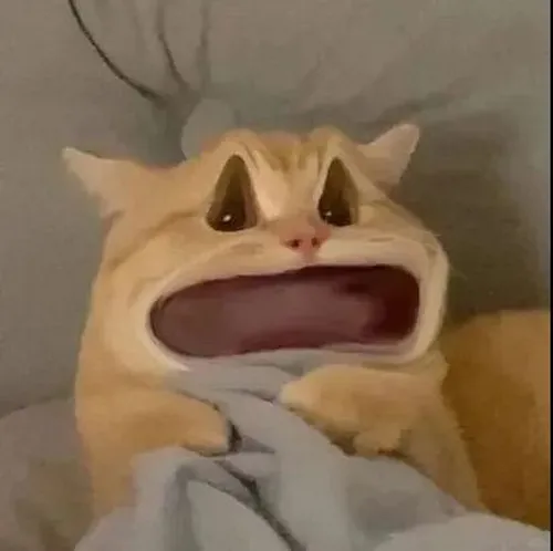 62