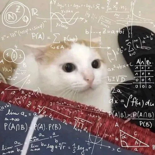 Meme chú mèo biểu cảm ngơ ngác không hiểu