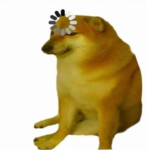 Não của Shiba Inu đang cố load thông tin