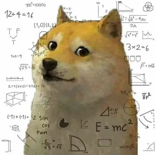 Meme chó Shiba khó hiểu đôi mắt vô hồn