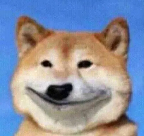 Hình troll mặt chó Shiba lặng im khó tả