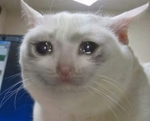 Meme khóc – Bộ ảnh chế vừa khóc vừa cười siêu hề nhất