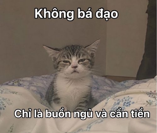 Meme không – Tổng hợp ảnh chế siêu cute dễ thương nhất