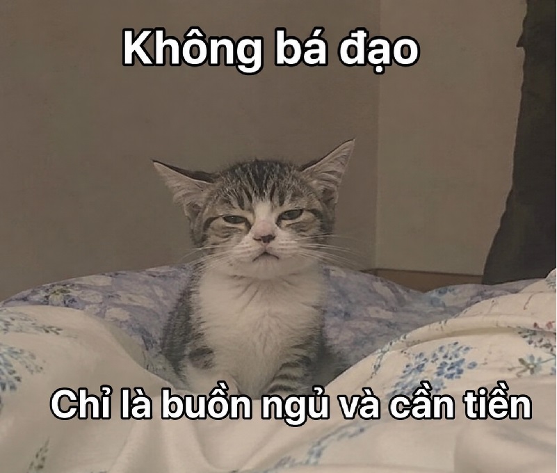 Meme không – Tổng hợp ảnh chế siêu cute dễ thương nhất