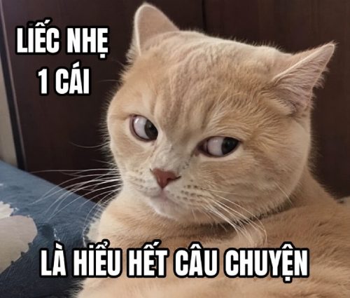 Meme liếc lườm – Bộ ảnh chế cà khịa nham hiểm siêu hài