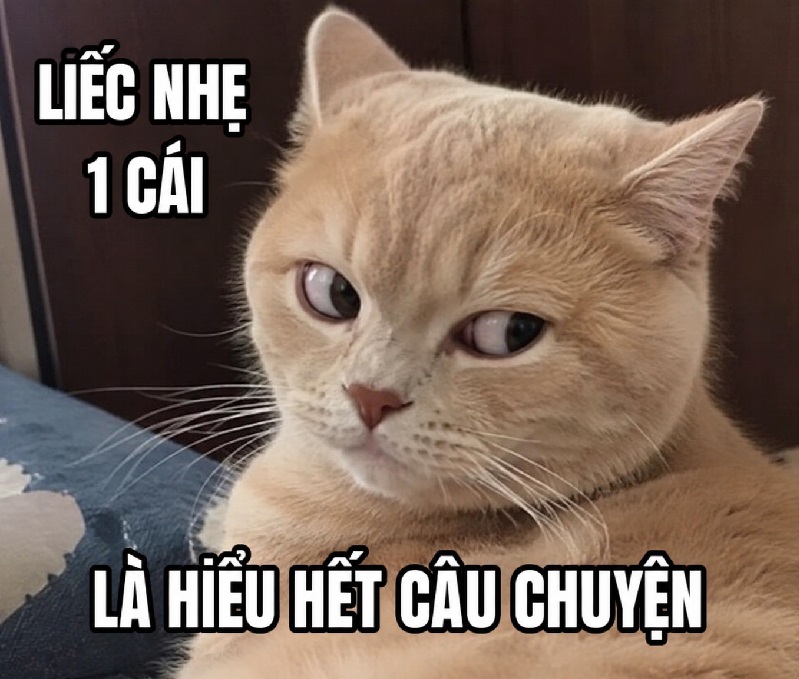 Meme liếc lườm – Bộ ảnh chế cà khịa nham hiểm siêu hài