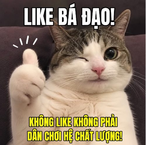 Meme like – Tổng hợp ảnh chế THÍCH siêu hài hước thú vị nhất
