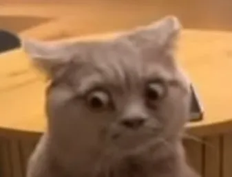 131