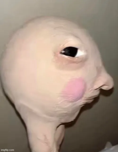 121