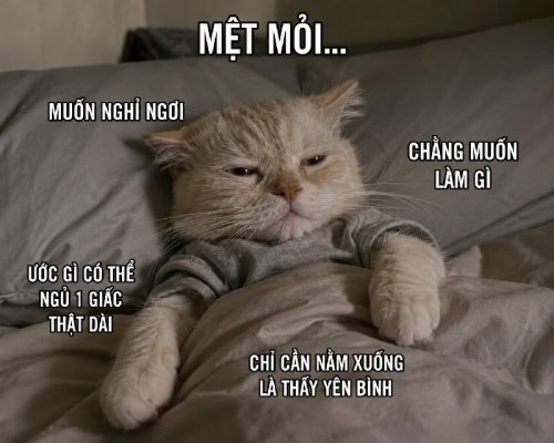 Meme mệt mỏi – Bộ ảnh chế bất lực chán đời siêu hài nhất