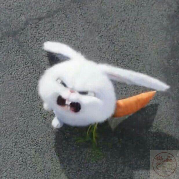 Meme này dễ dàng sử dụng trong nhiều tình huống vui trên mạng xã hội