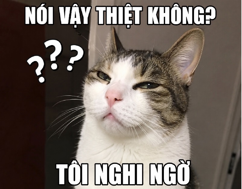 Meme nghi ngờ – Bộ ảnh chế hoài nghi siêu hài hước nhất