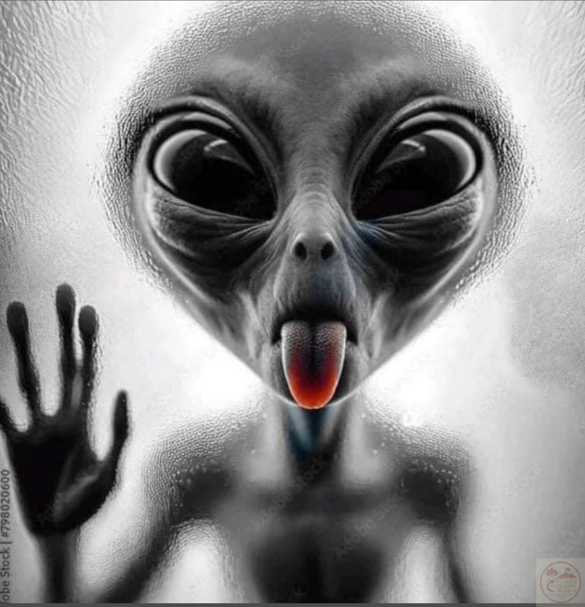 88+ Ảnh Alien - Người ngoài hành tinh meme "bá đạo" nhất
