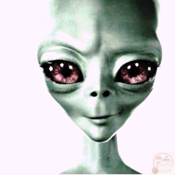 Meme người ngoài hành tinh: 185+ ảnh alien face, nhảy đỉnh
