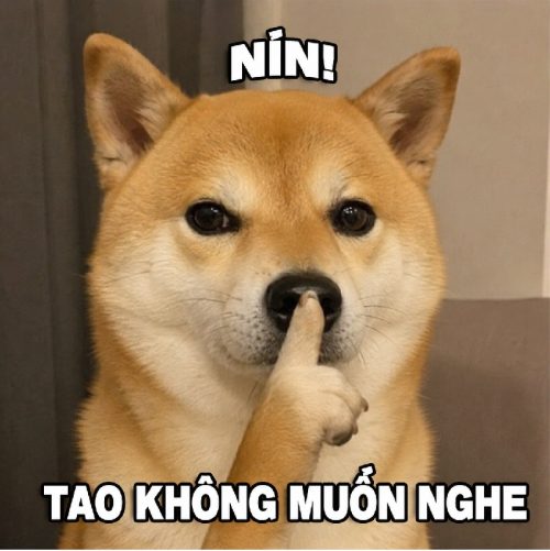 Tổng hợp meme nín hài hước, ảnh chế biểu cảm NÍN họng