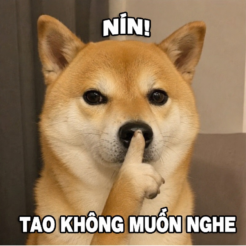 Tổng hợp meme nín hài hước, ảnh chế biểu cảm NÍN họng