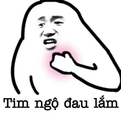 Ảnh troll nhẹ nhàng, nhưng thấm nỗi đau tim.