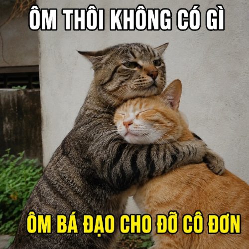 Meme ôm – Bộ ảnh chế cute ấm áp siêu dễ thương nhất