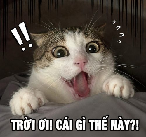 Meme sợ hãi hoảng hốt – Khoảnh khắc khiến bạn rùng mình