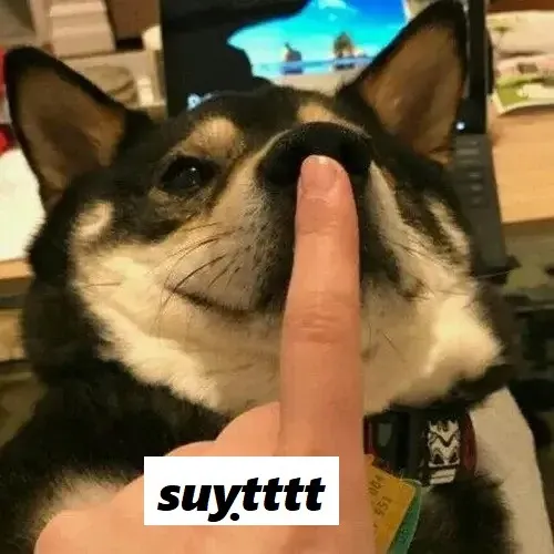 Gặp chuyện rối? Thả ngay meme suỵt là xong