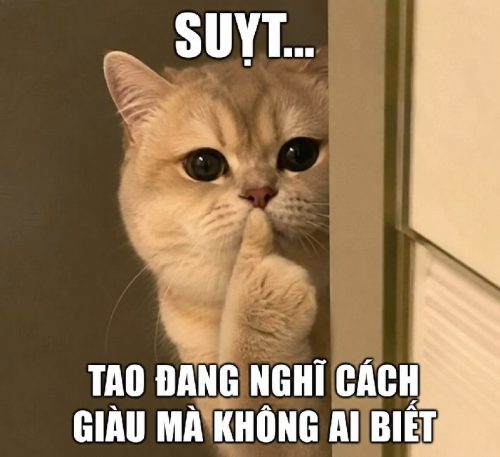 Meme suỵt – Bộ ảnh chế im lặng vuốt cằm siêu hài hước