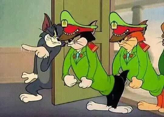 Mèo Tom báo công an là các chú mèo khác