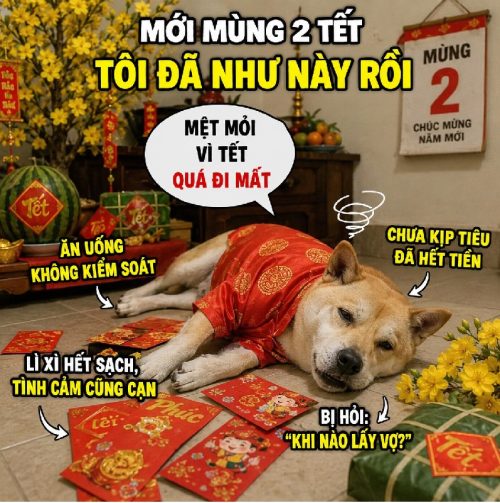 Ảnh meme Tết – Tuyển tập những khoảnh khắc hài hước nhất