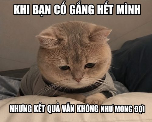 Meme thất vọng – Bộ ảnh chế tuyệt vọng siêu hài hước nhất