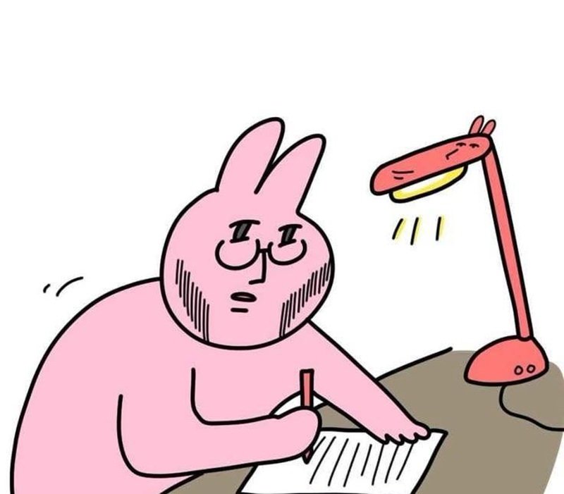 meme thỏ hồng 3