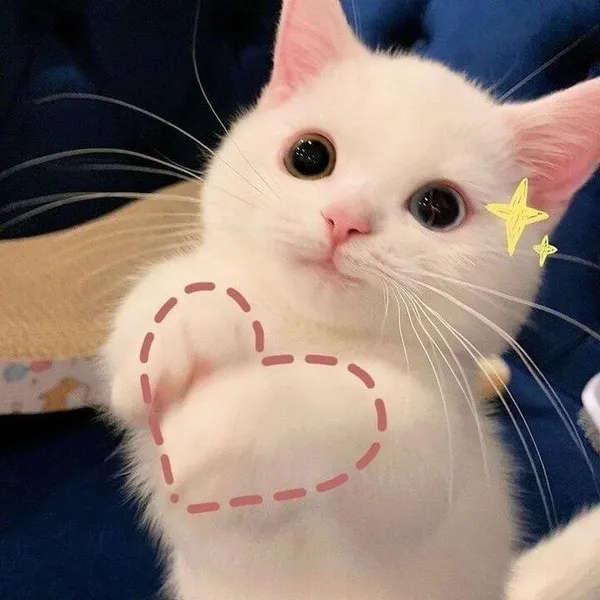 Ảnh chế nụ hôn nhẹ trên trán đầy yêu thương
