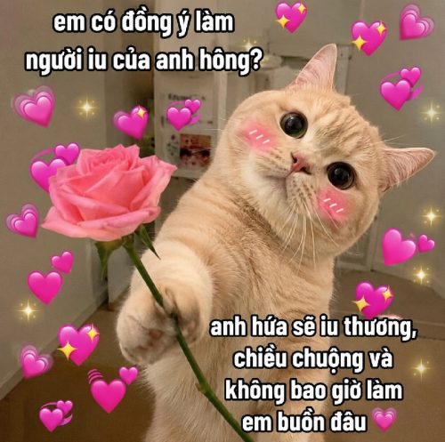 Meme yêu – Bộ ảnh chế tình yêu siêu cute hài hước nhất
