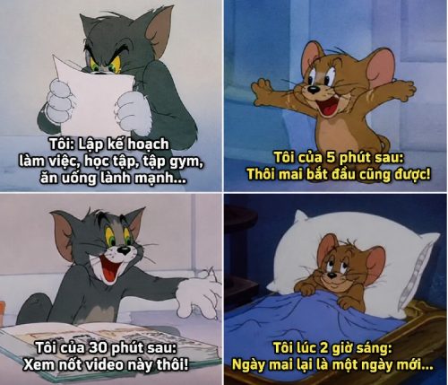 Bộ ảnh meme Tom and Jerry biểu cảm huyền thoại cực hài