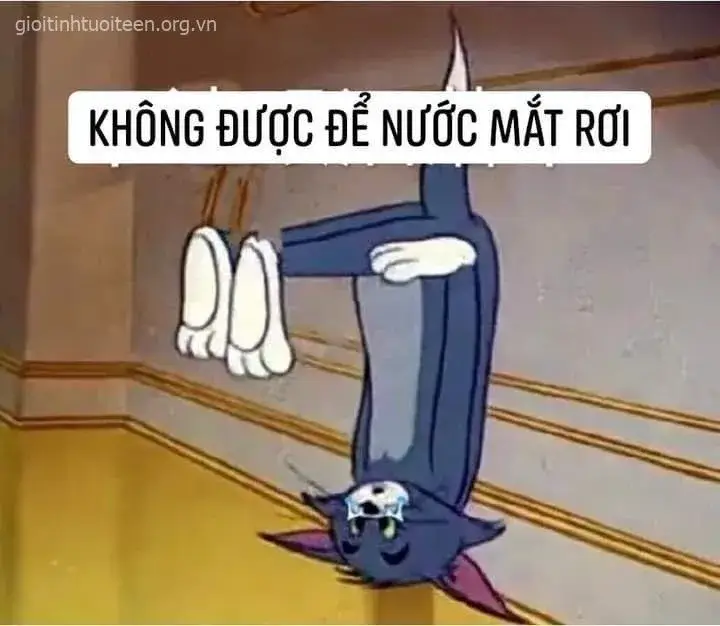 113