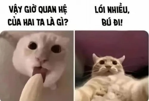 Meme Vắt Cực Khô