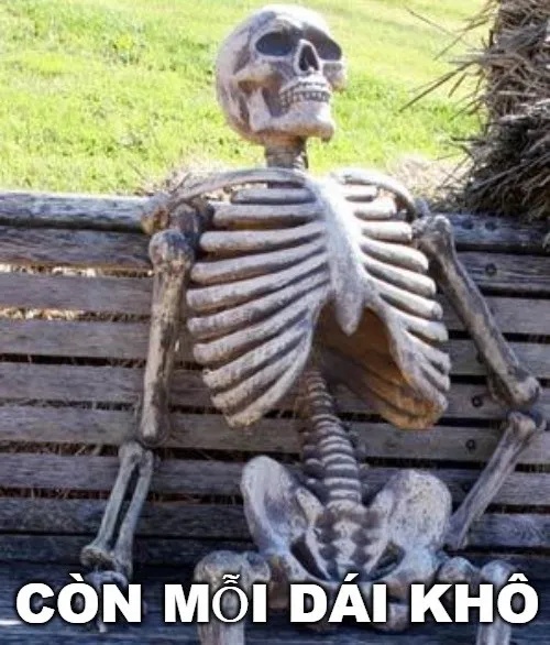 Meme Vắt Cực Khô