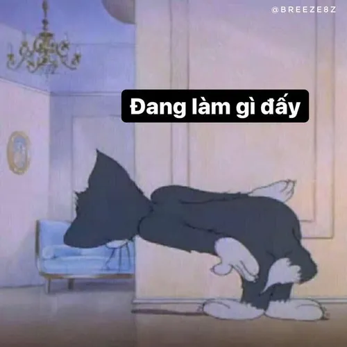 Ảnh chế hello nhìn chill cực kỳ