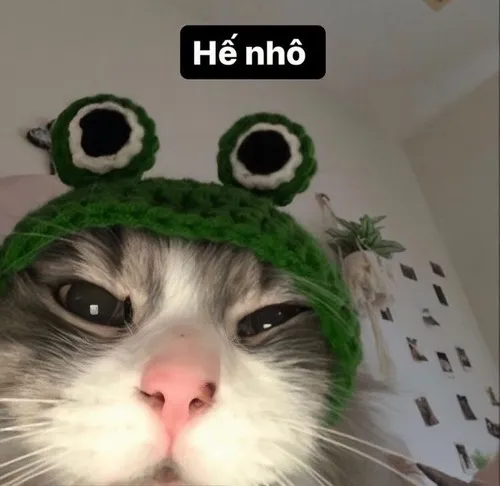 Meme hài xin chào sáng cực vui