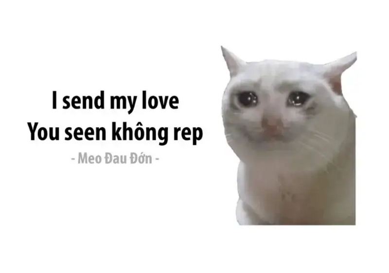 Những điều nên biết khi dùng meme mệt mỏi